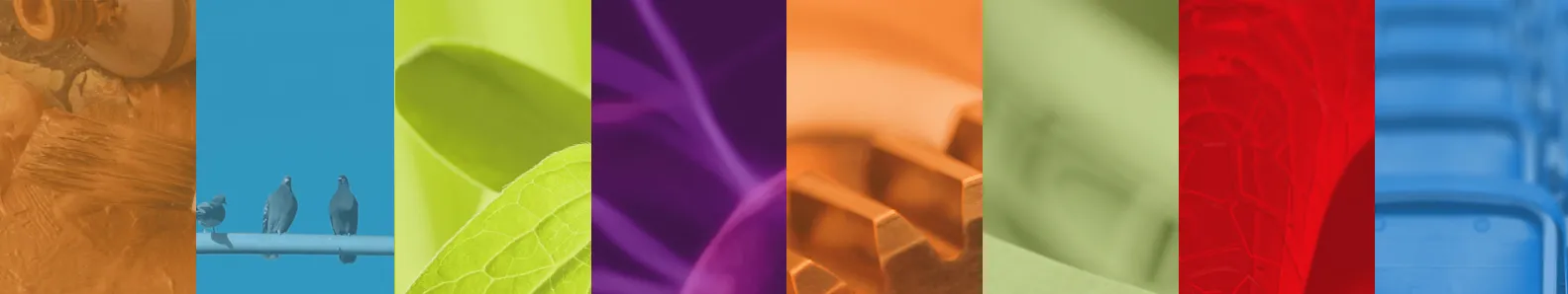 Image of a row of abstract pictures.