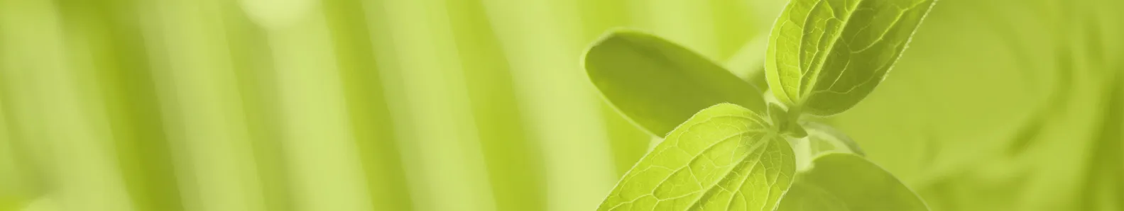 Life Sciences picture green background with a small sprout growing.